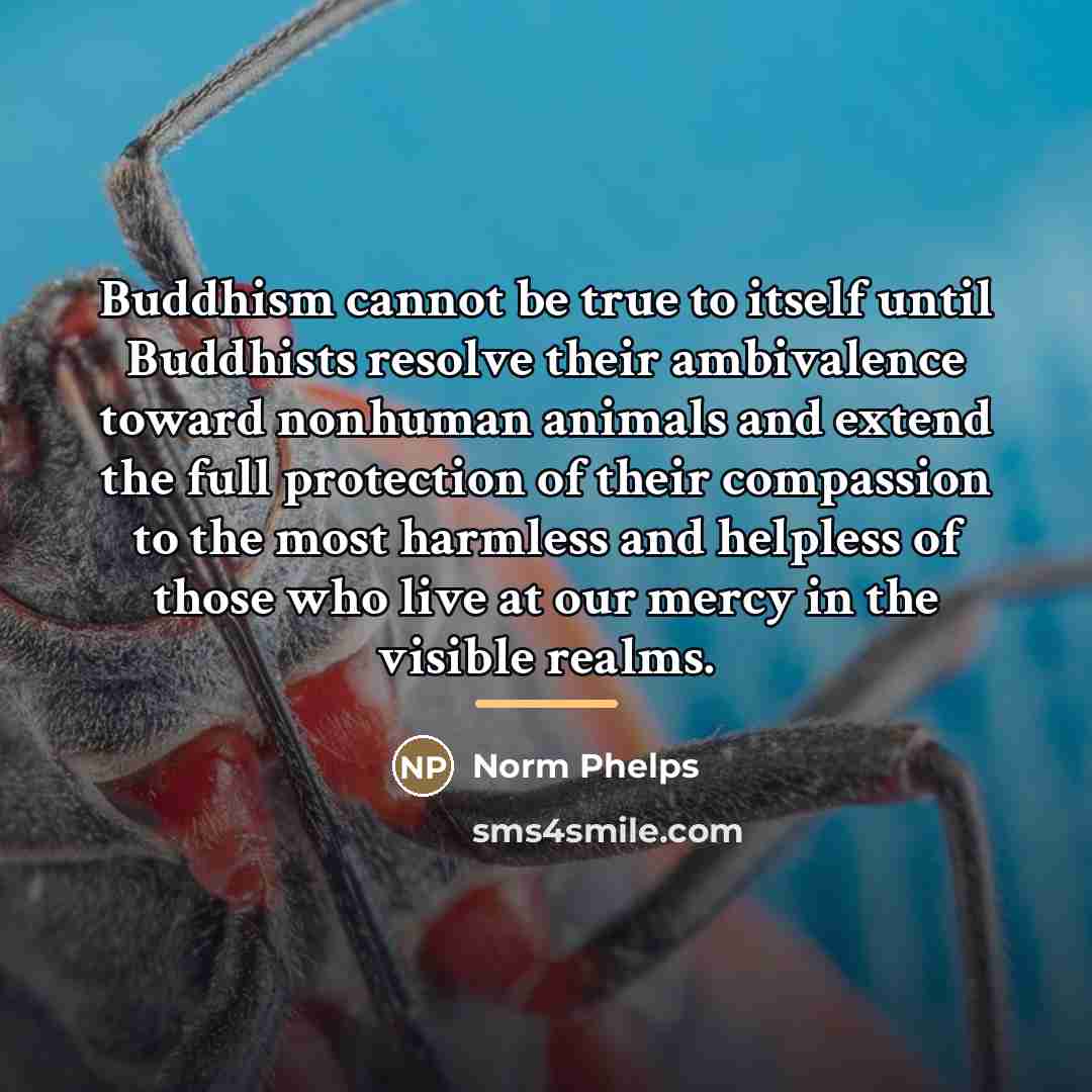 “Buddhism cannot be true to itself until Buddhists resolve their…” quote by Norm Phelps