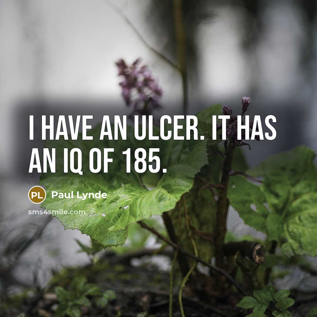 “I have an ulcer. It has an IQ of 185.…” quote by Paul Lynde