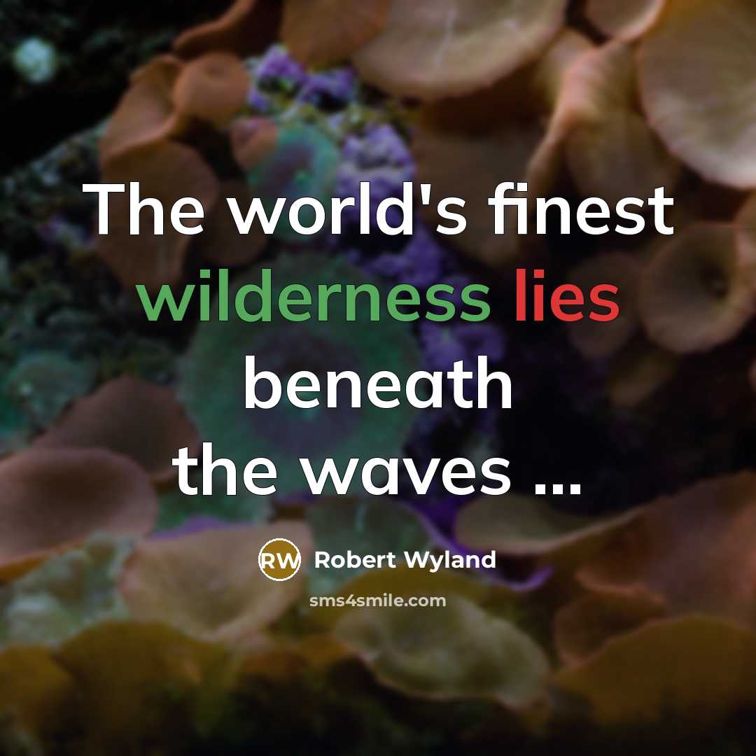 “The world's finest wilderness lies beneath the waves ...” quote by Robert Wyland