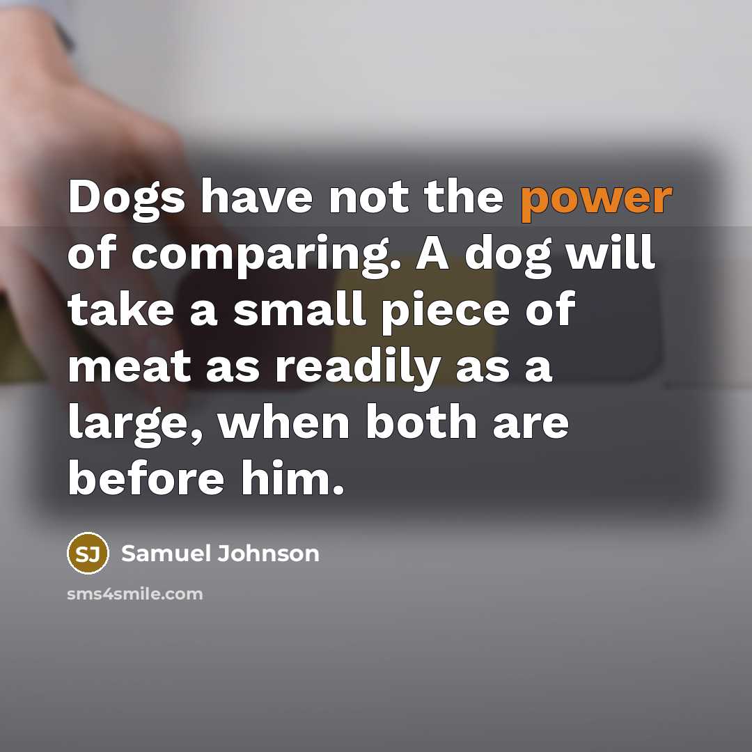 “Dogs have not the power of comparing. A dog will…” quote by Samuel Johnson