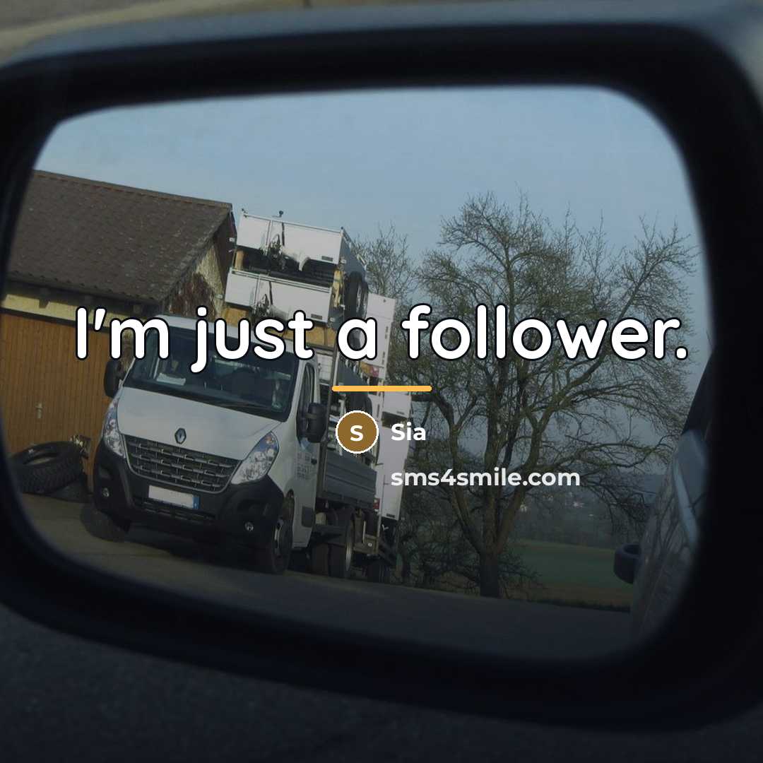 “I'm just a follower.…” quote by Sia