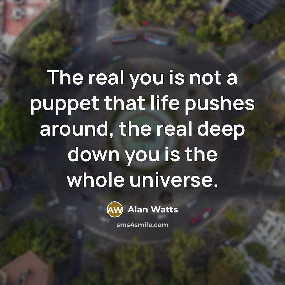 “The real you is not a puppet that life pushes around, the real deep down you is the whole universe.” quote by Alan Watts