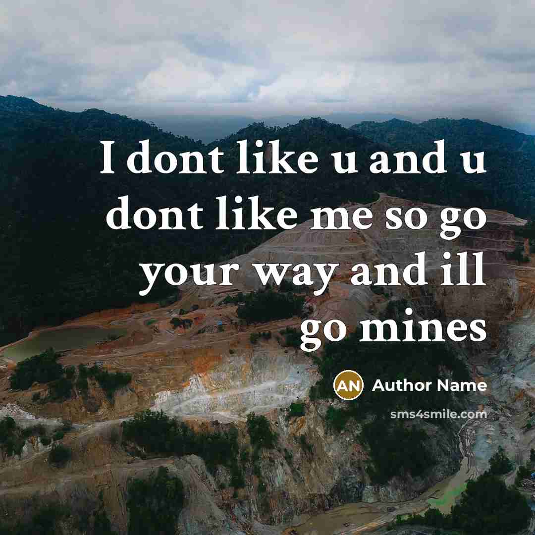 “I dont like u and u dont like me so…” quote by Author Name