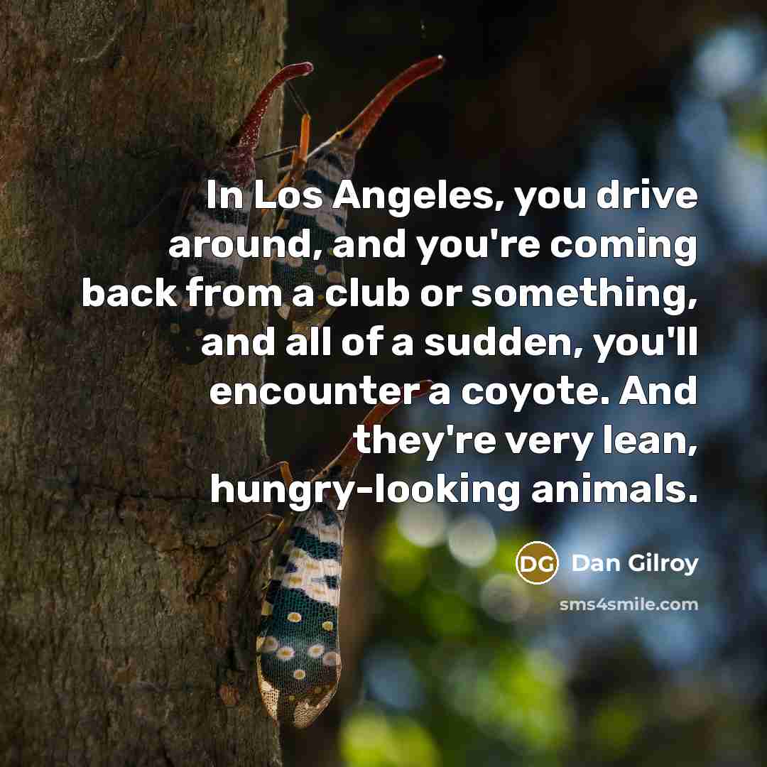 “In Los Angeles, you drive around, and you're coming back…” quote by Dan Gilroy