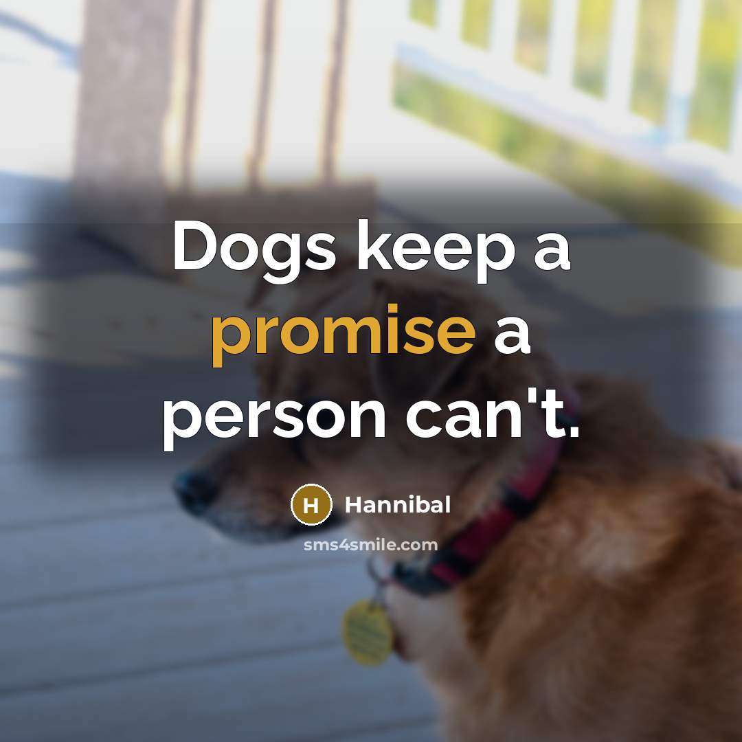 “Dogs keep a promise a person can't.…” quote by Hannibal