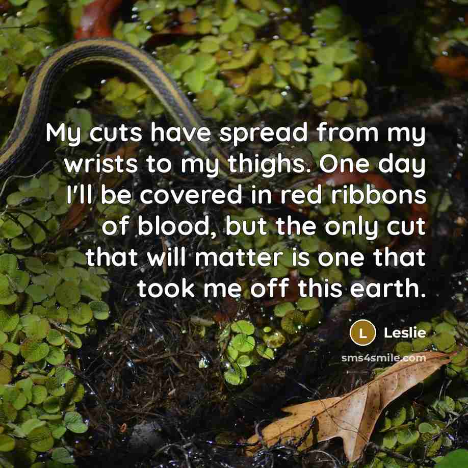 “My cuts have spread from my wrists to my thighs. One day I'll be covered in red ribbons of blood, but the only cut that will matter is one that took me off this earth.” quote by Leslie