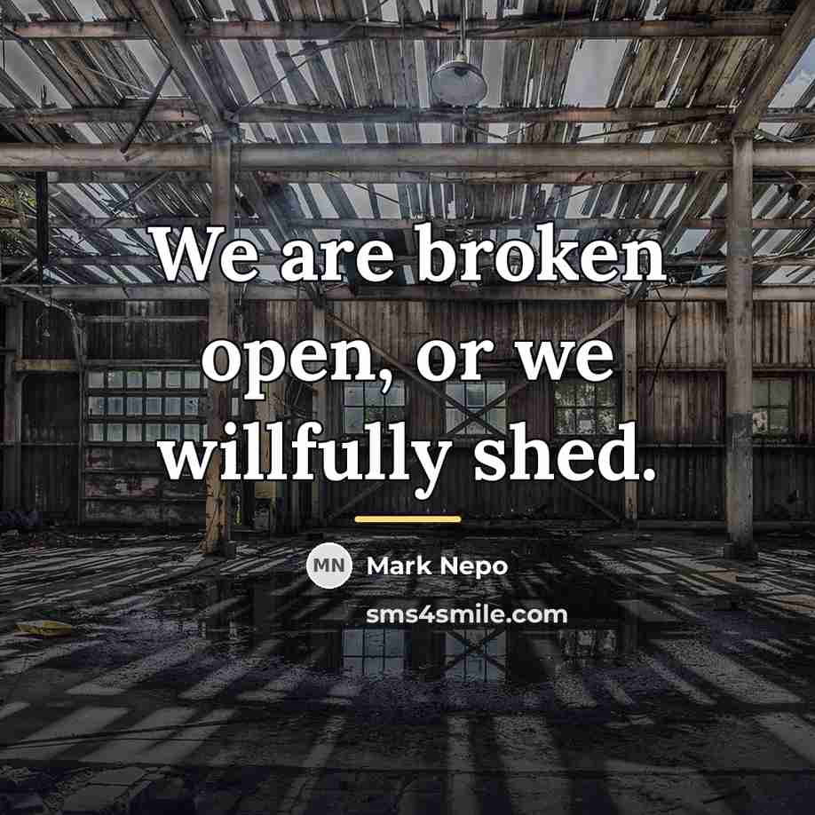 “We are broken open, or we willfully shed.…” quote by Mark Nepo