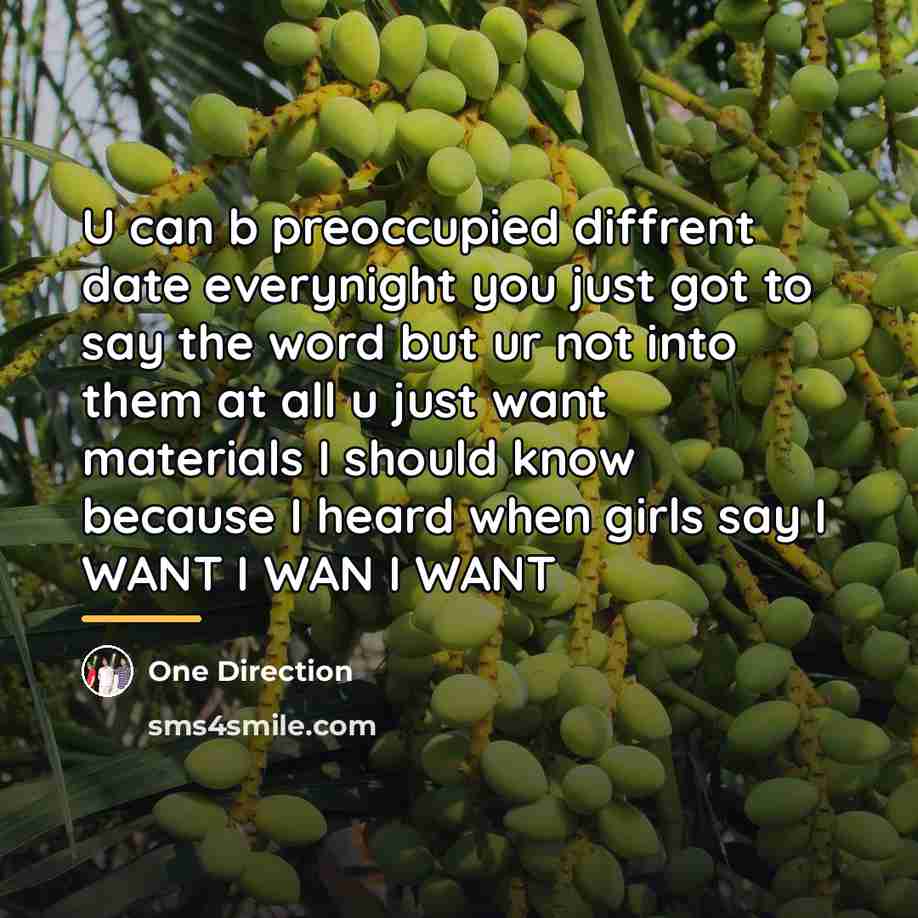 “U can b preoccupied diffrent date everynight you just got…” quote by One Direction