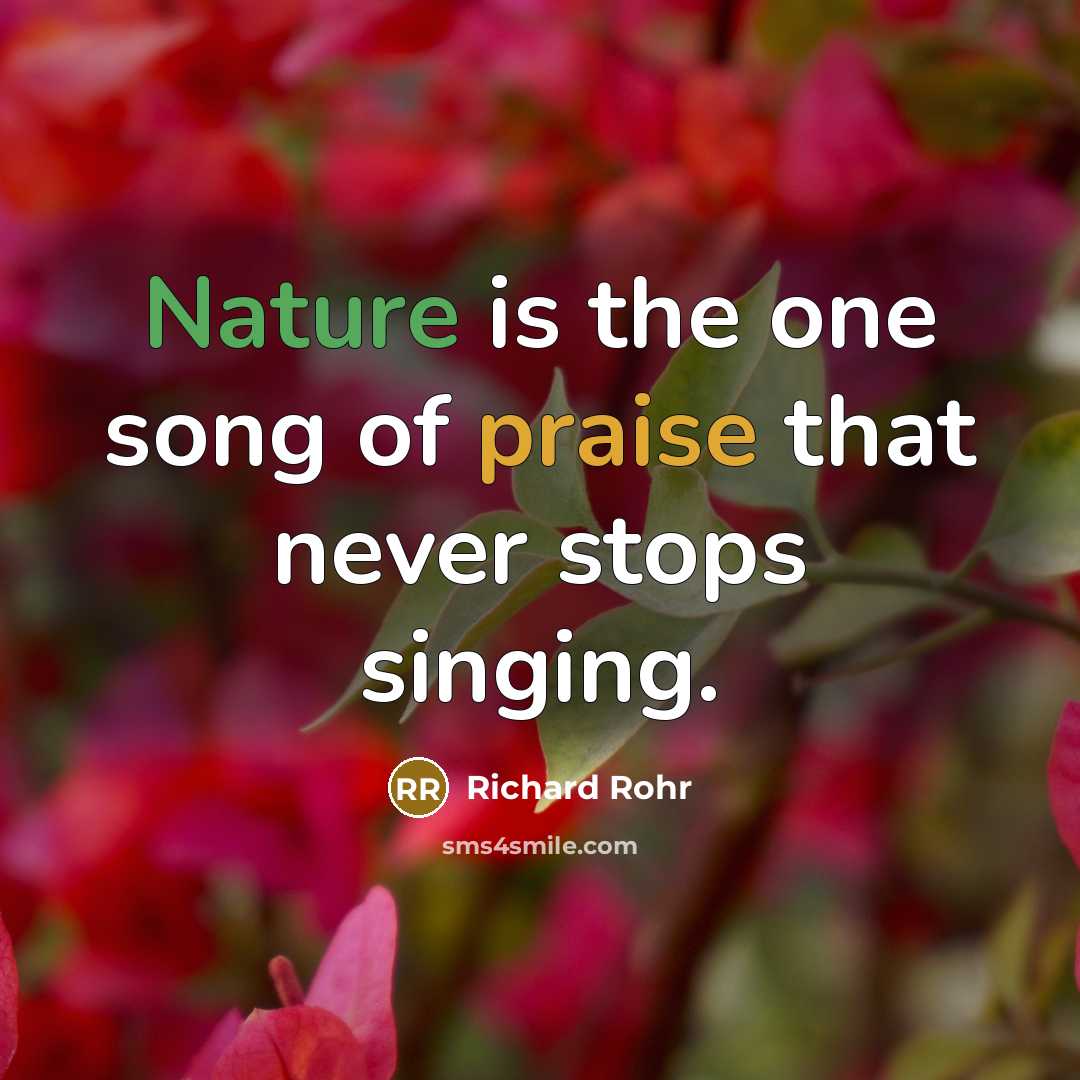 “Nature is the one song of praise that never stops…” quote by Richard Rohr