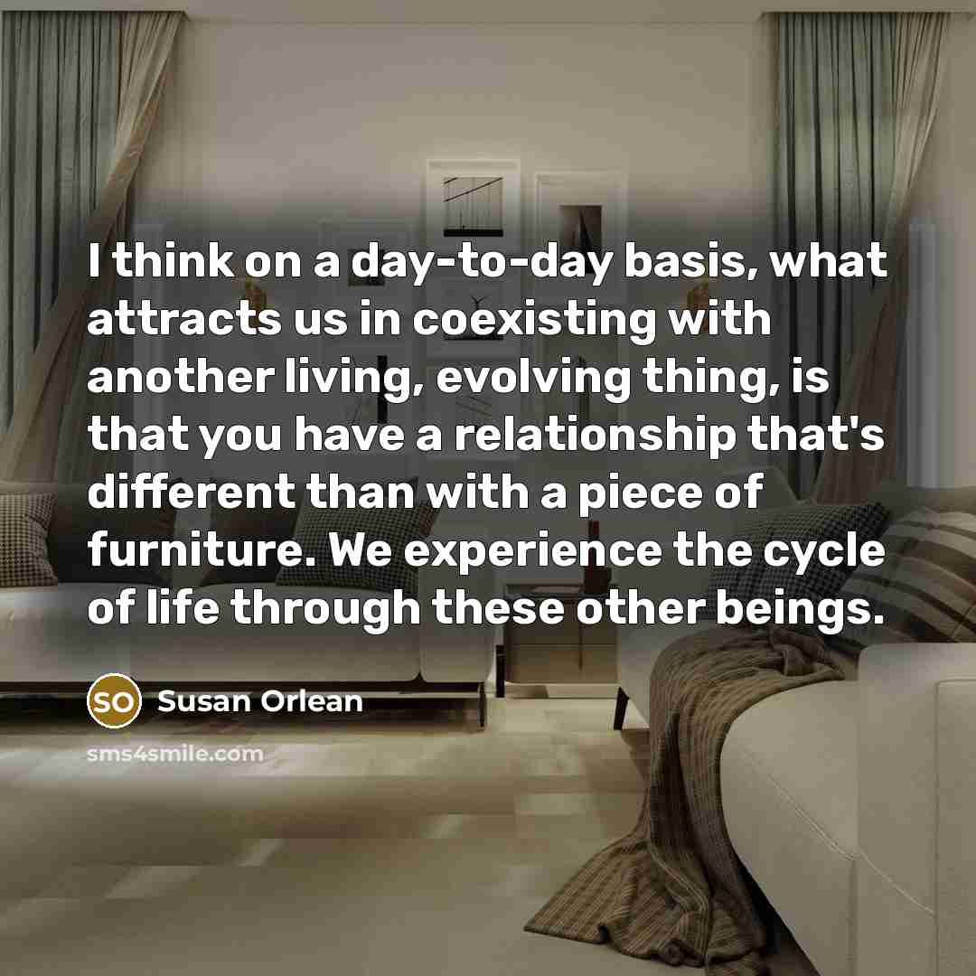 “I think on a day-to-day basis, what attracts us in…” quote by Susan Orlean