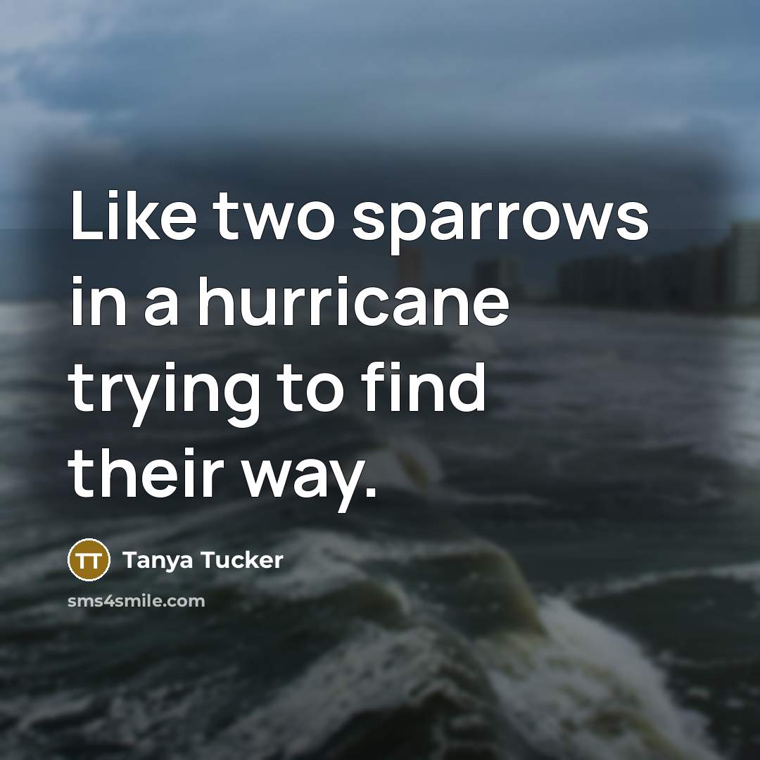 “Like two sparrows in a hurricane trying to find their…” quote by Tanya Tucker