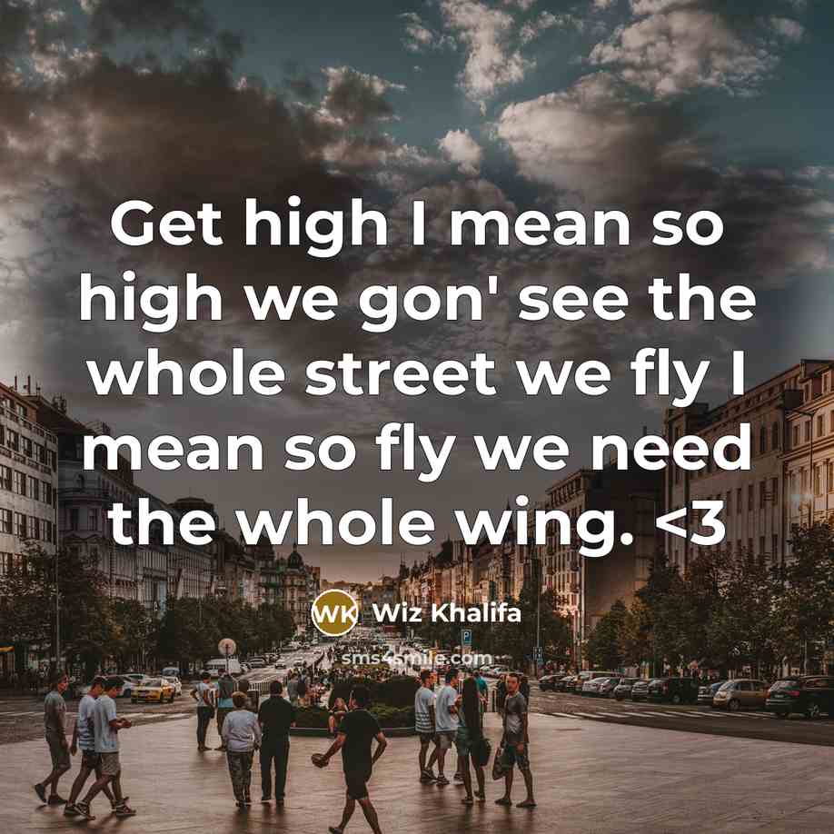 “Get high I mean so high we gon' see the whole street we fly I mean so fly we need the whole wing.” quote by Wiz Khalifa