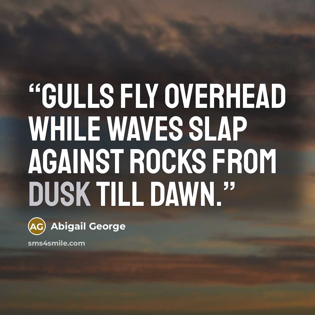 “Gulls fly overhead While waves slap against rocks From dusk till dawn.” quote by Abigail George