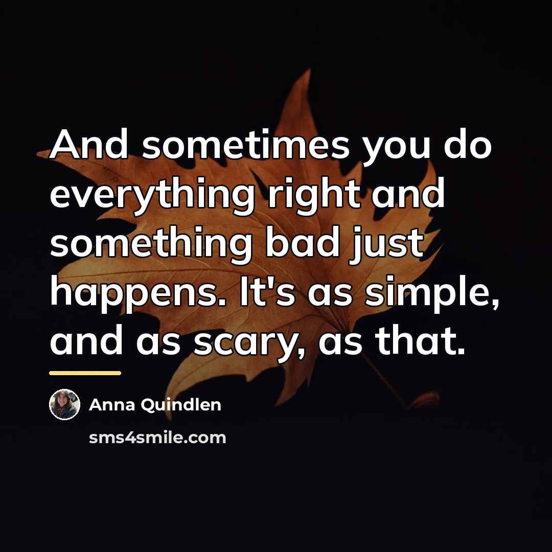 “And sometimes you do everything right and something bad just…” quote by Anna Quindlen