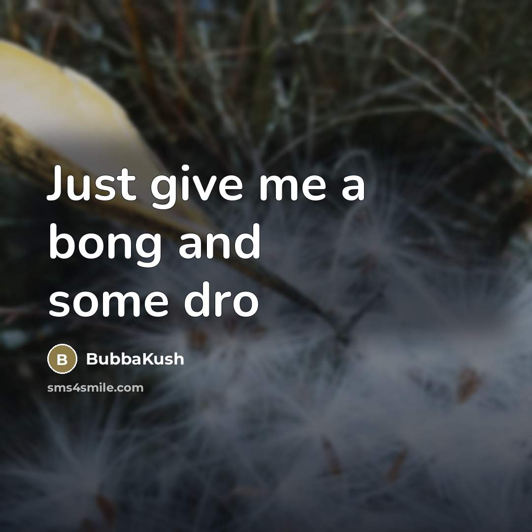 “Just give me a bong and some dro” quote by BubbaKush