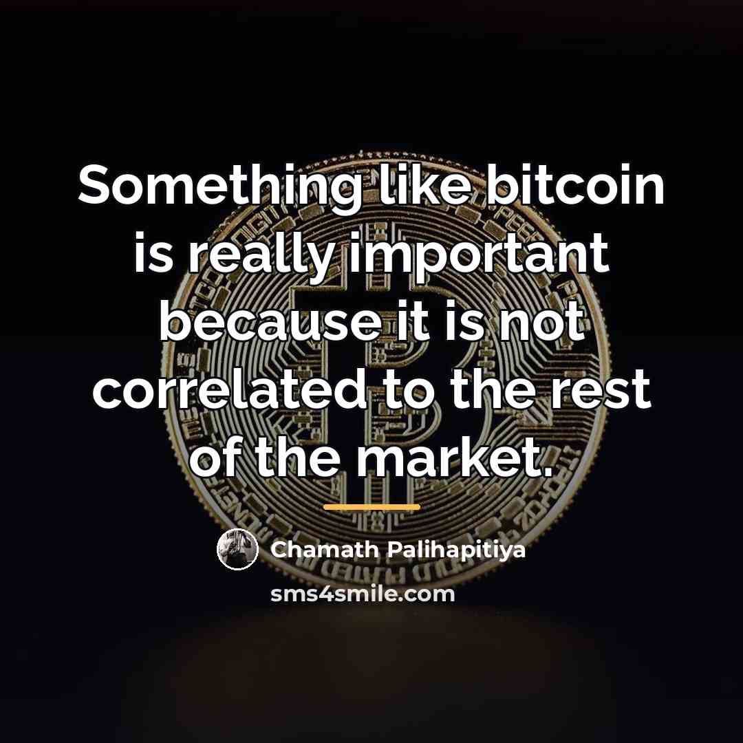 “Something like bitcoin is really important because it is not…” quote by Chamath Palihapitiya
