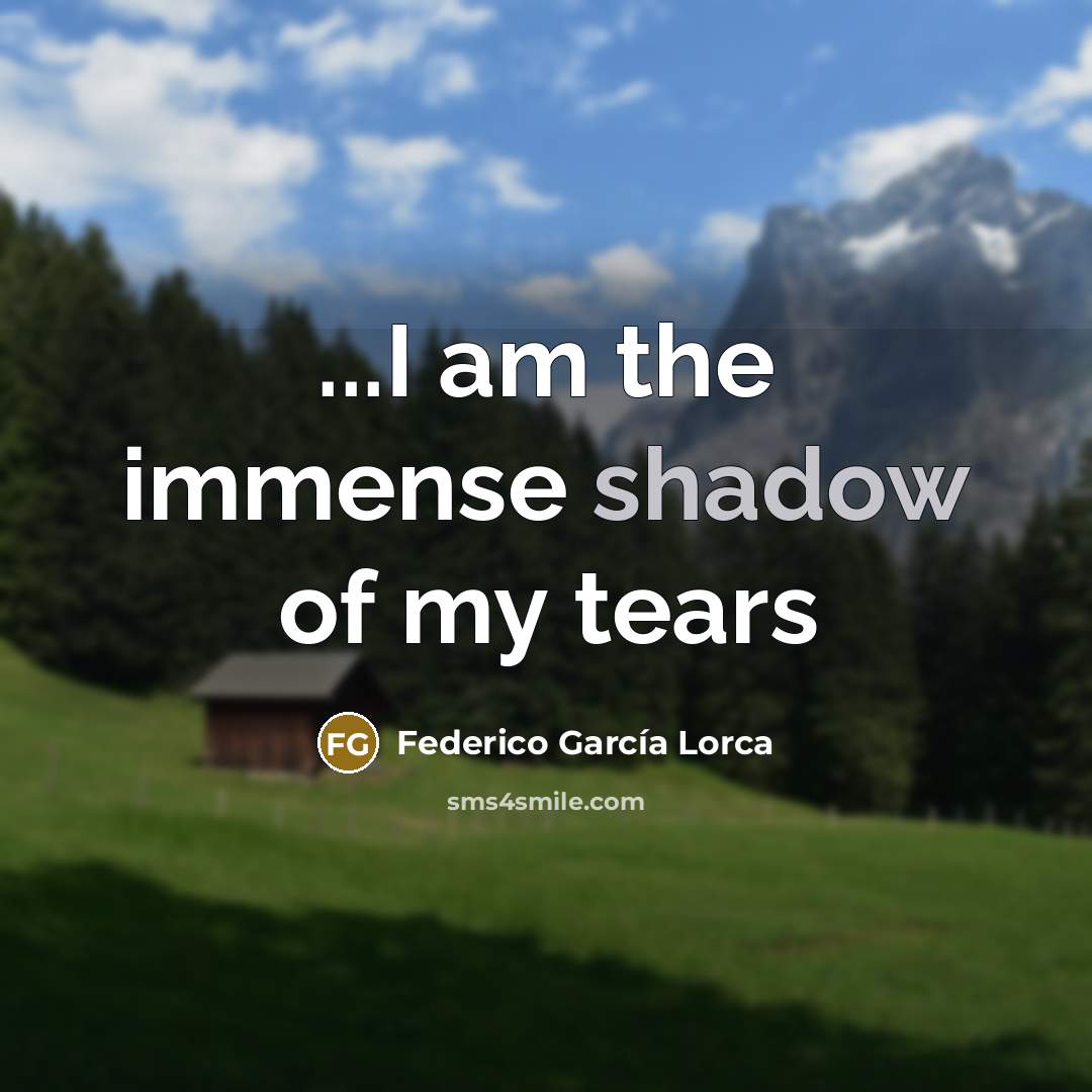 “...I am the immense shadow of my tears…” quote by Federico Garcia Lorca