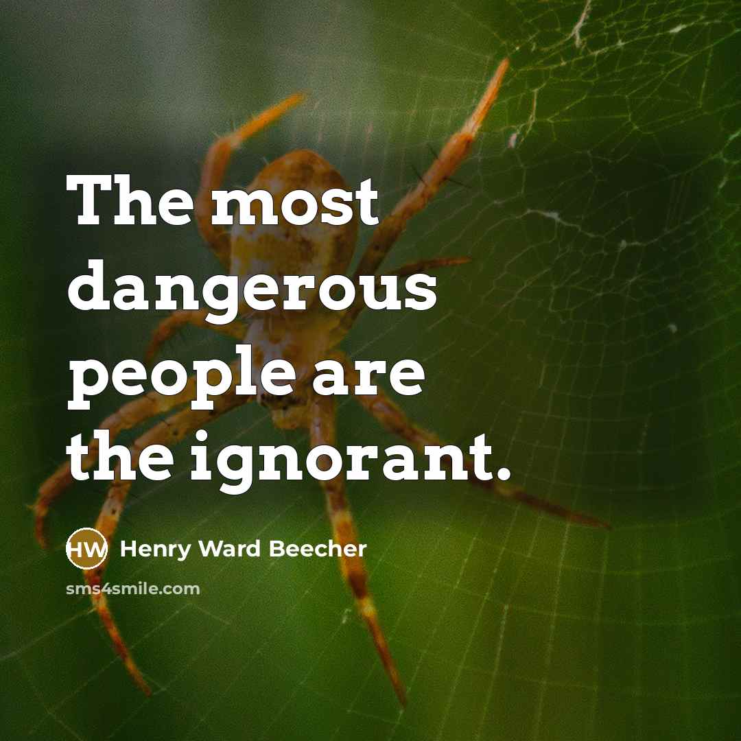 “The most dangerous people are the ignorant.…” quote by Henry Ward Beecher