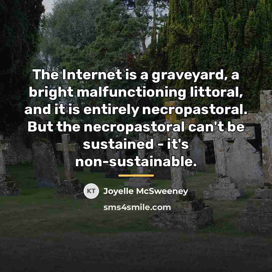 “The Internet is a graveyard, a bright malfunctioning littoral, and…” quote by Joyelle McSweeney