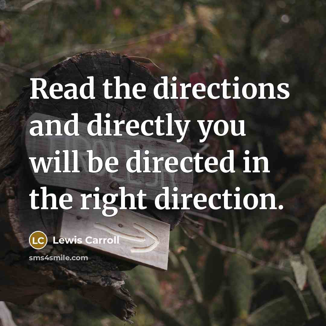 “Read the directions and directly you will be directed in…” quote by Lewis Carroll