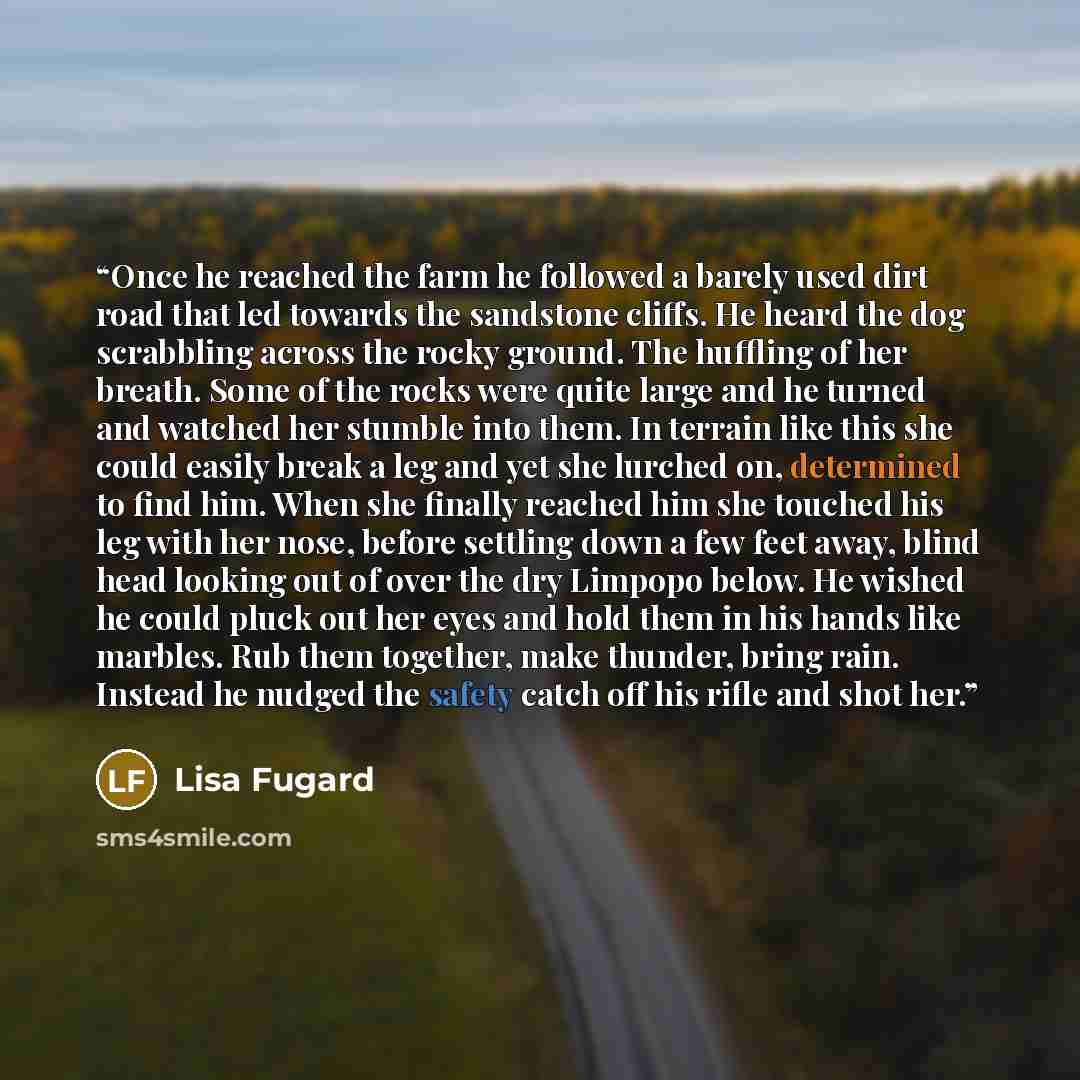 “Once he reached the farm he followed a barely used dirt road that led towards the sandstone cliffs. He heard the dog scrabbling across the rocky ground. The huffling of her breath. Some of the rocks were quite large and he turned and watched her stumble into them. In terrain like this she could…” quote by Lisa Fugard