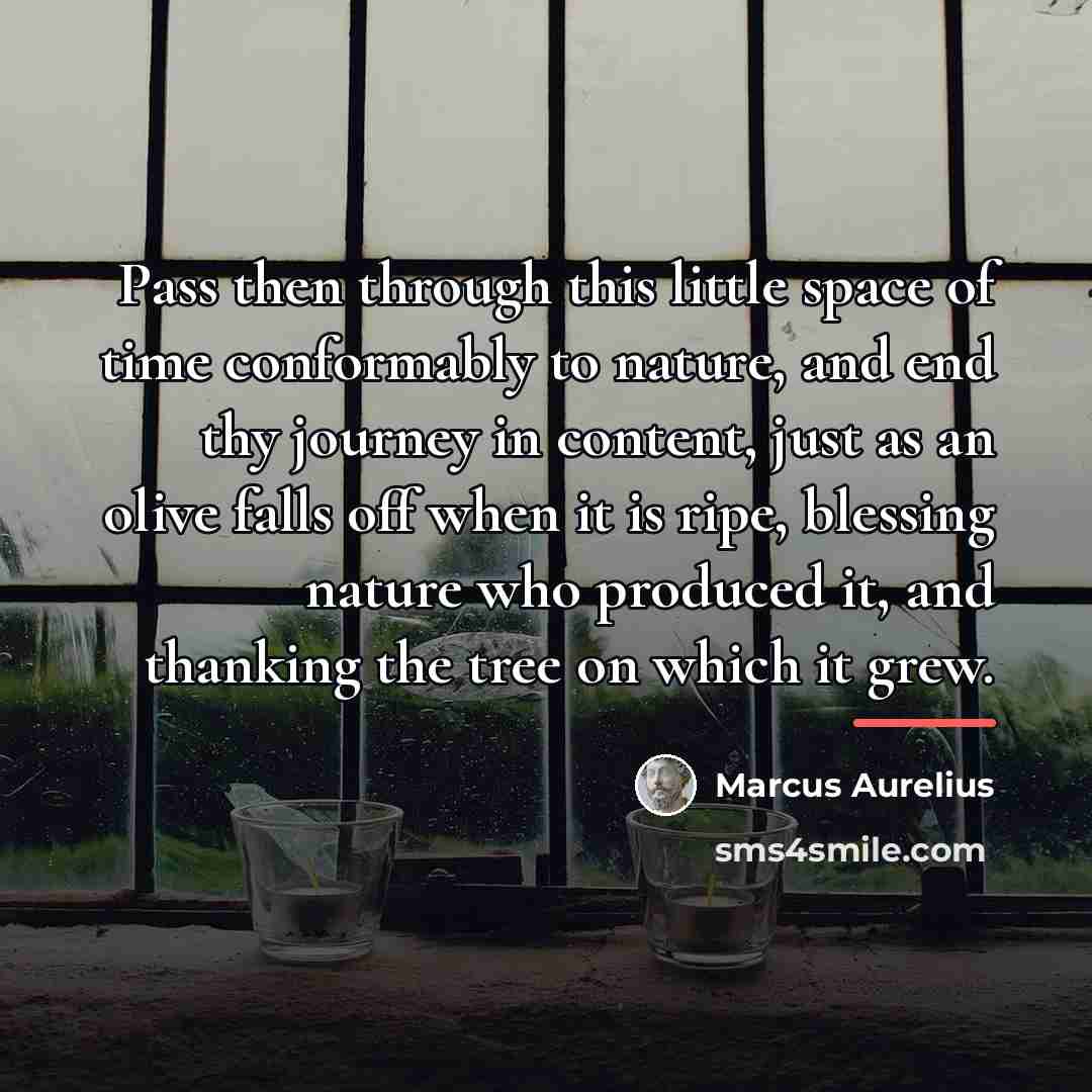 “Pass then through this little space of time conformably to…” quote by Marcus Aurelius