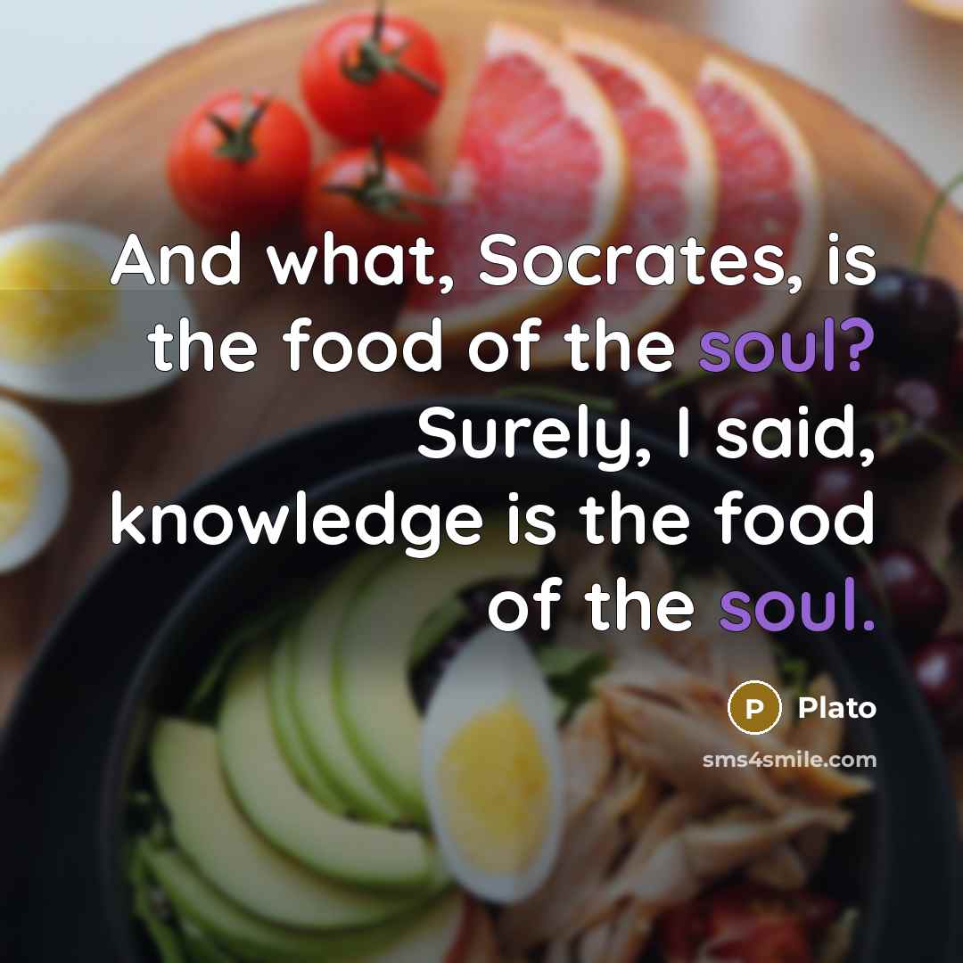 “And what, Socrates, is the food of the soul? Surely,…” quote by Plato