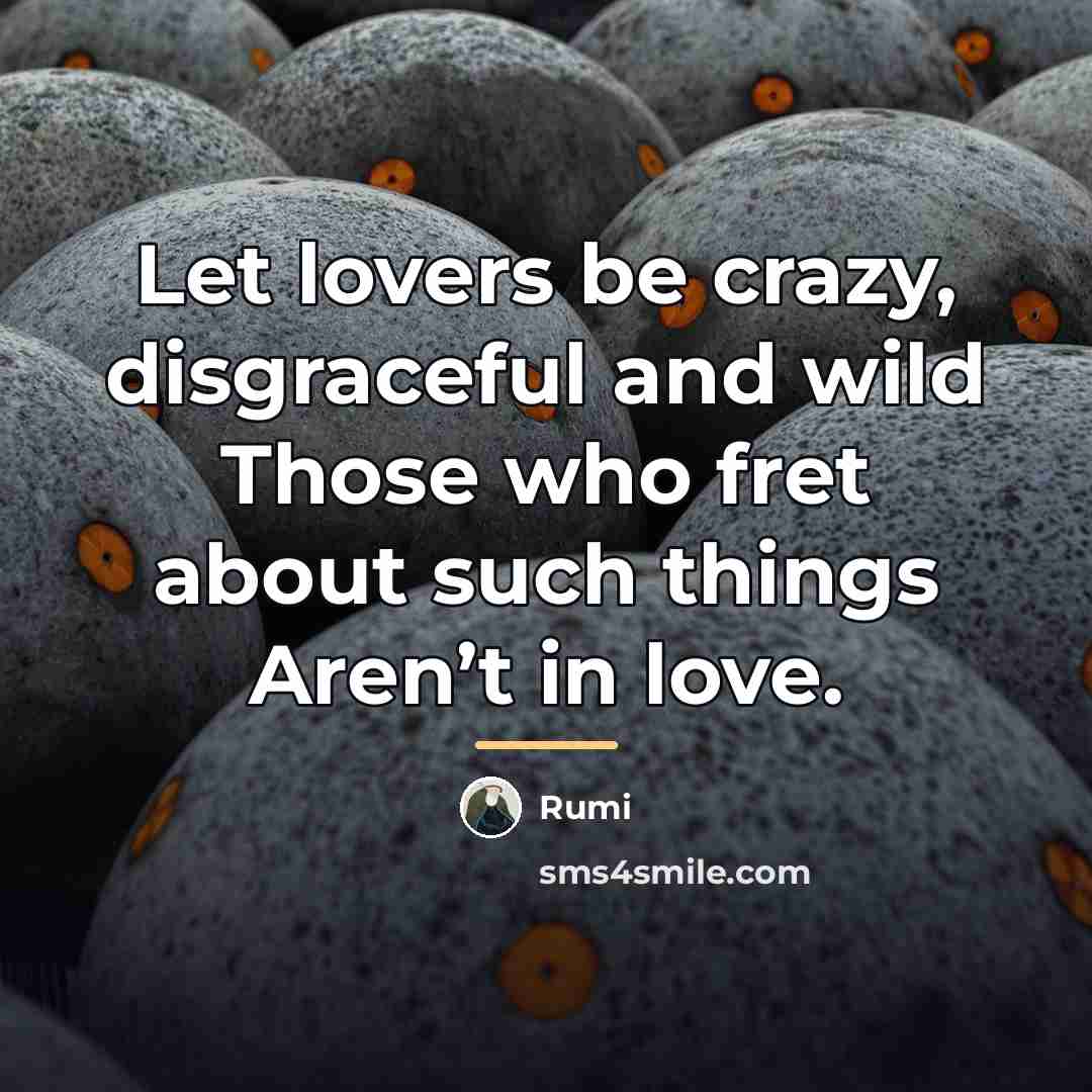“Let lovers be crazy, disgraceful and wild Those who fret…” quote by Rumi