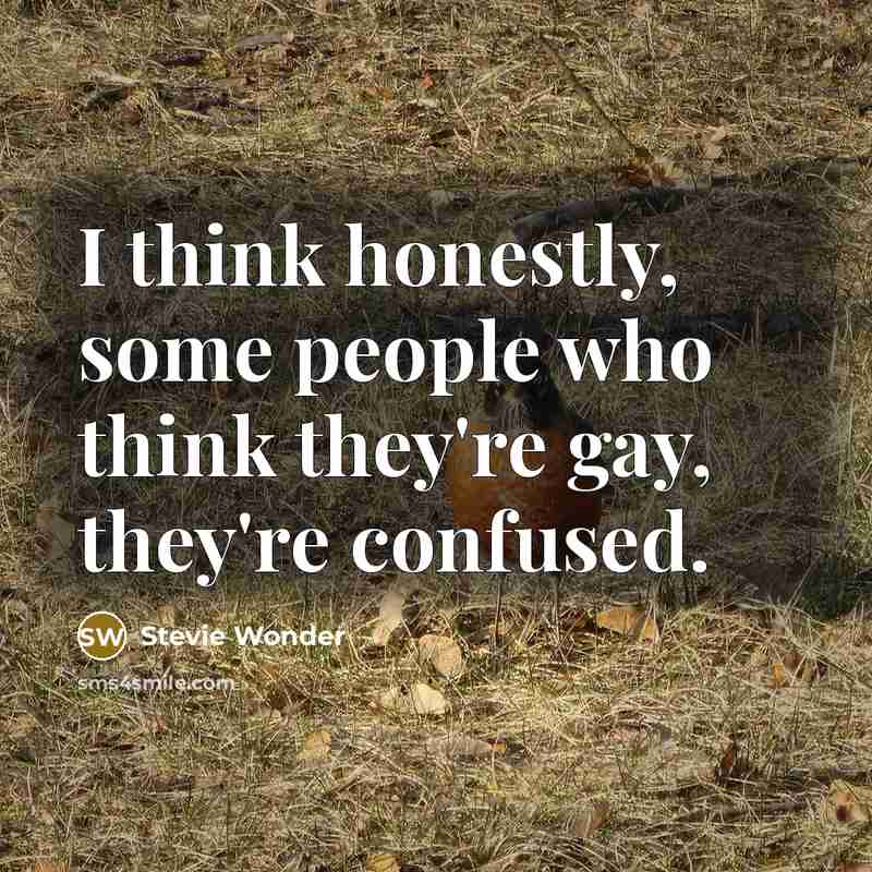 “I think honestly, some people who think they're gay, they're…” quote by Stevie Wonder