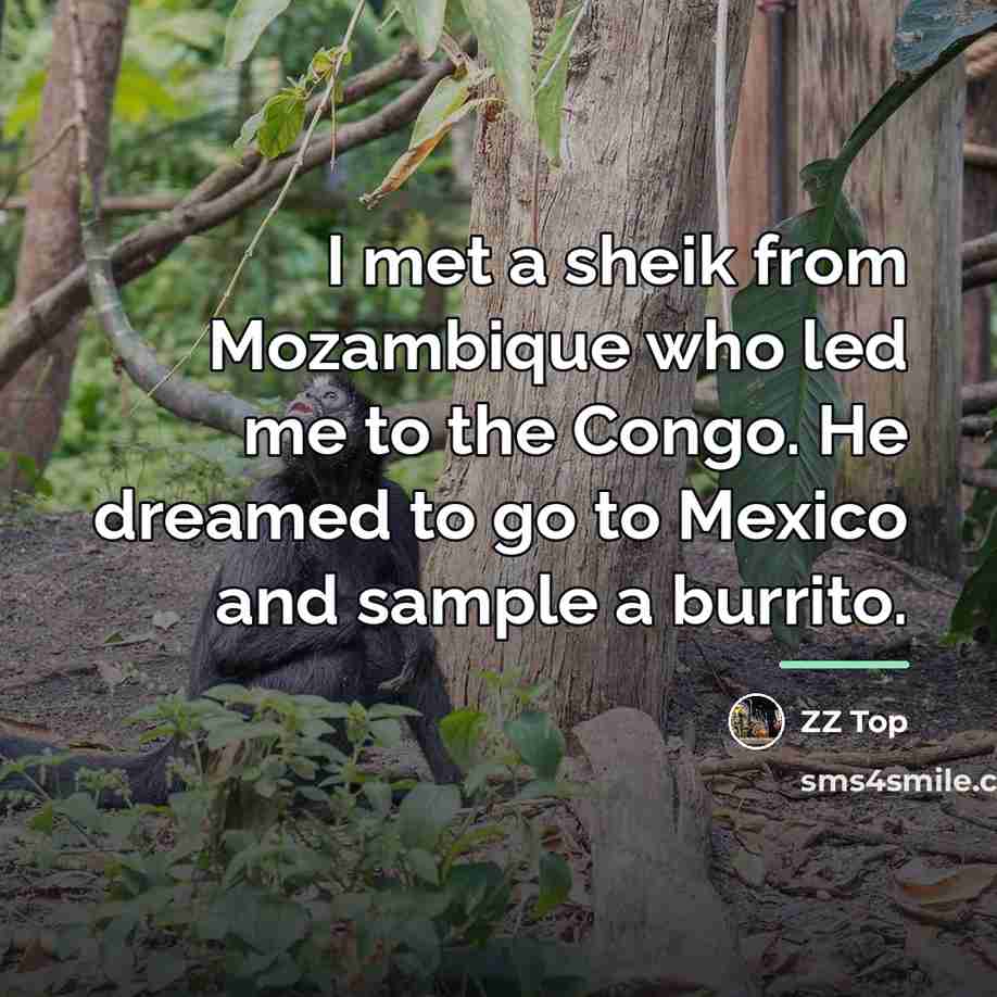 “I met a sheik from Mozambique who led me to…” quote by ZZ Top