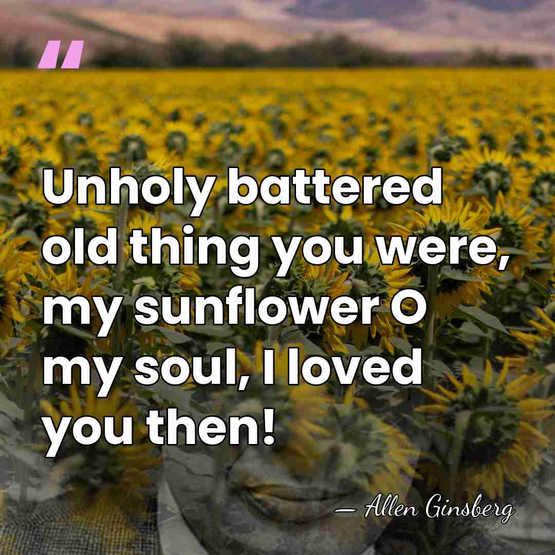 Unholy battered old thing you were, my sunflower O my soul, I&hellip; - Allen Ginsberg