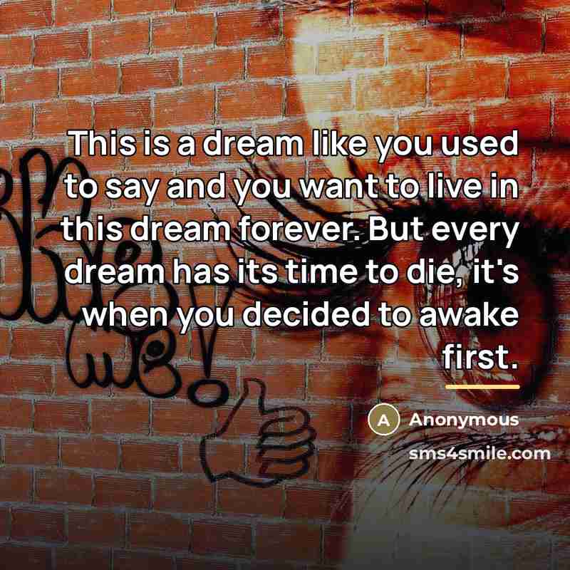 “This is a dream like you used to say and…” quote by Anonymous
