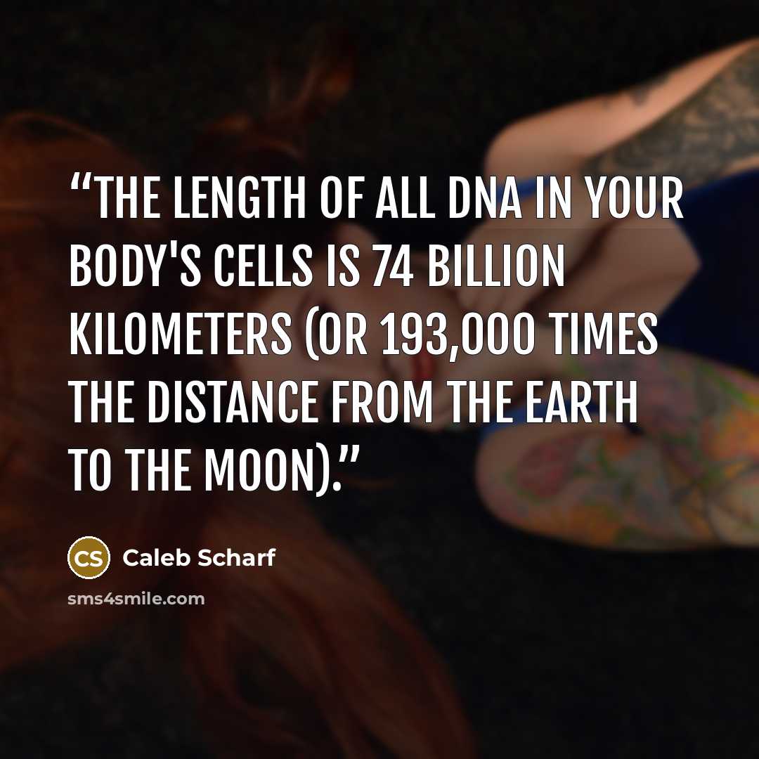 “The length of all DNA in your body's cells is 74 billion kilometers (or 193,000 times the distance from the earth to the moon).” quote by Caleb Scharf