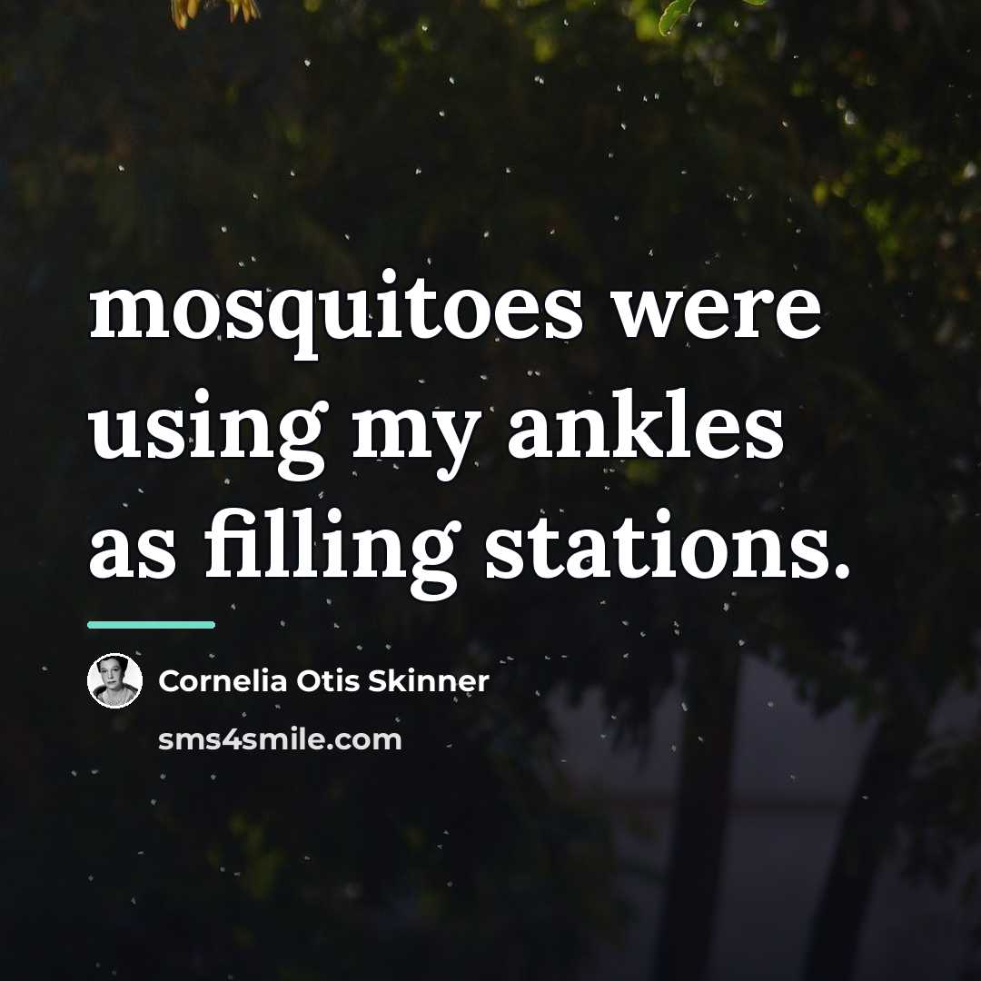 “mosquitoes were using my ankles as filling stations.…” quote by Cornelia Otis Skinner