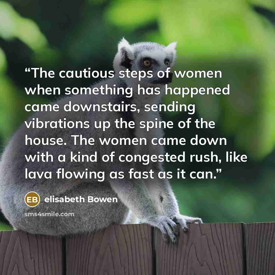 “The cautious steps of women when something has happened came downstairs, sending vibrations up the spine of the house. The women came down with a kind of congested rush, like lava flowing as fast as it can.” quote by Elisabeth Bowen