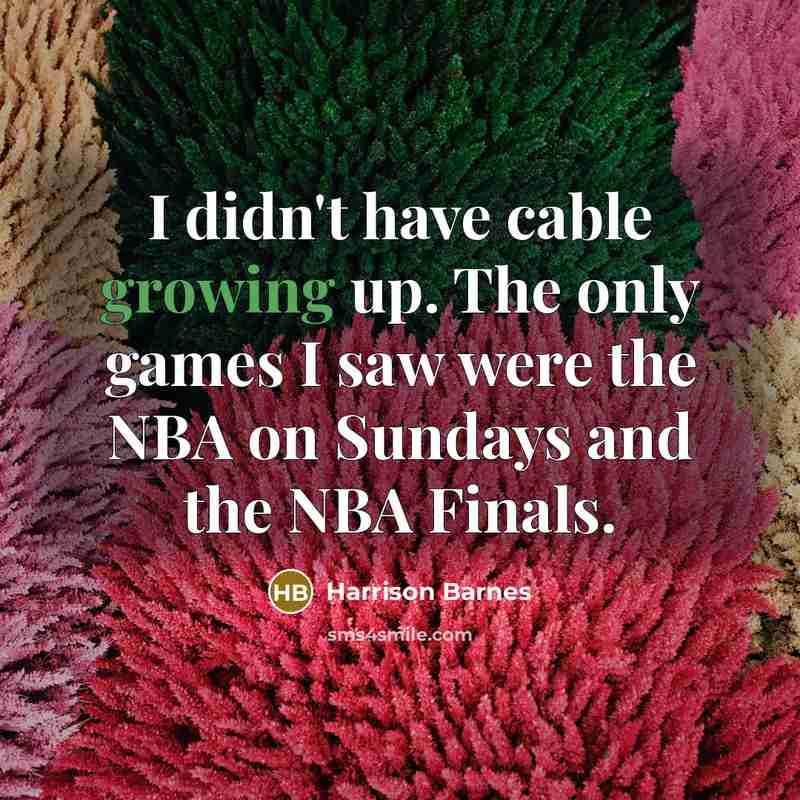 “I didn't have cable growing up. The only games I…” quote by Harrison Barnes