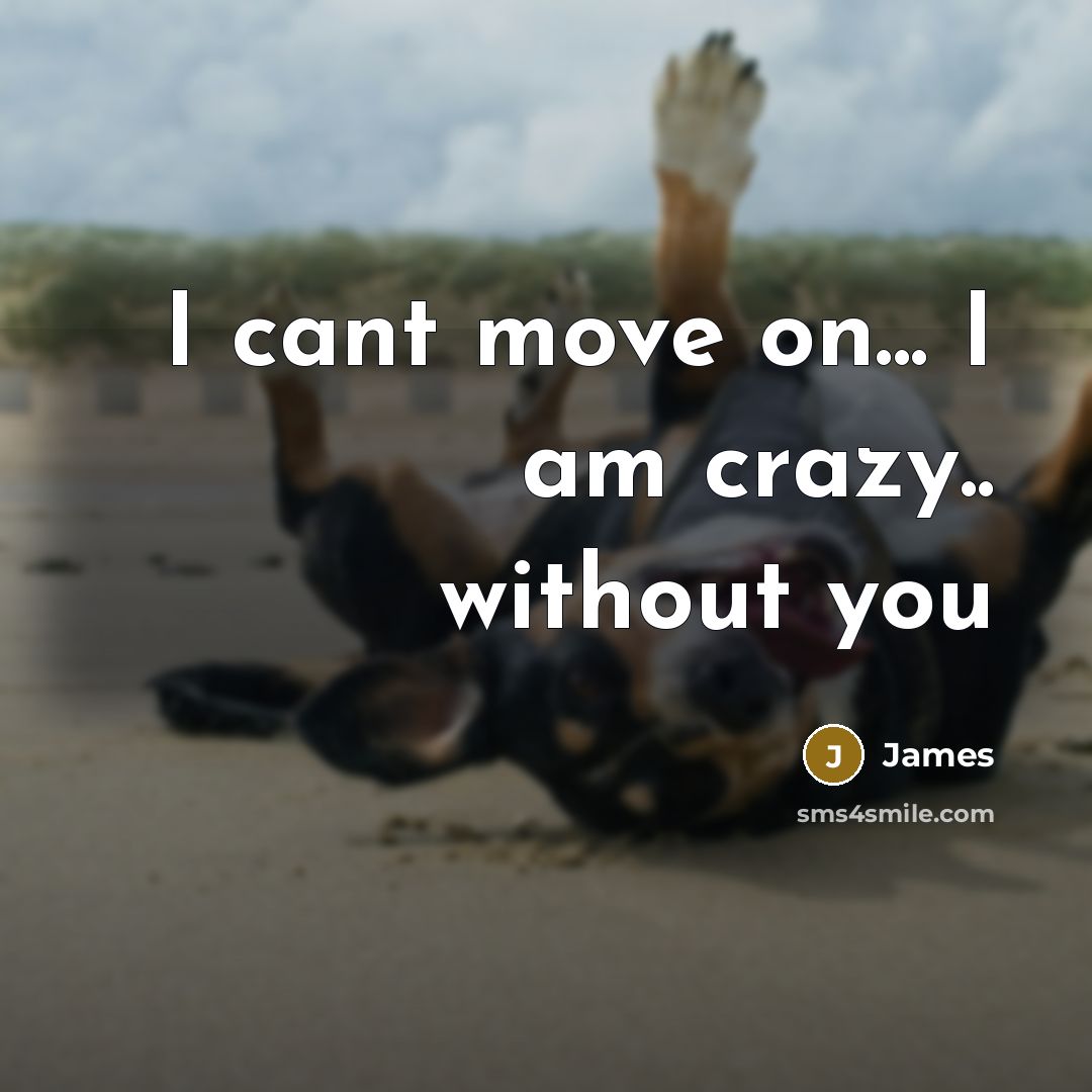 “I cant move on... I am crazy.. without you…” quote by James