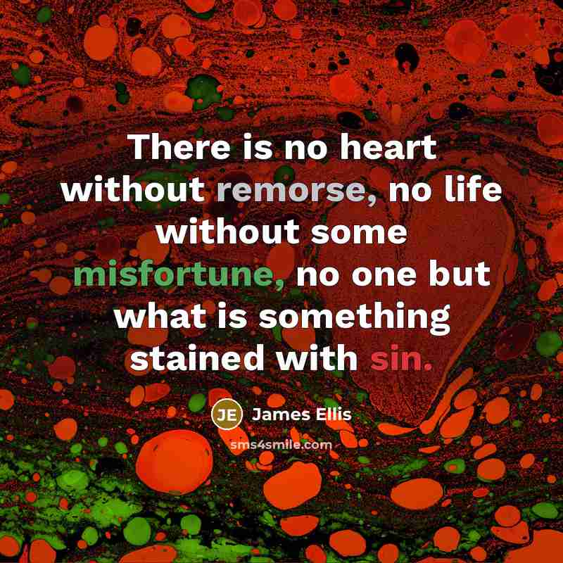 “There is no heart without remorse, no life without some…” quote by James Ellis