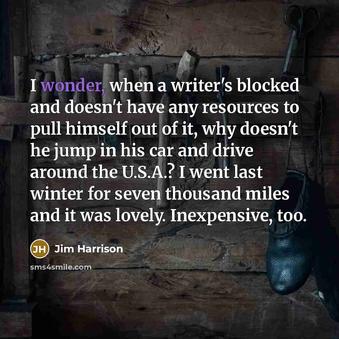 “I wonder, when a writer's blocked and doesn't have any…” quote by Jim Harrison