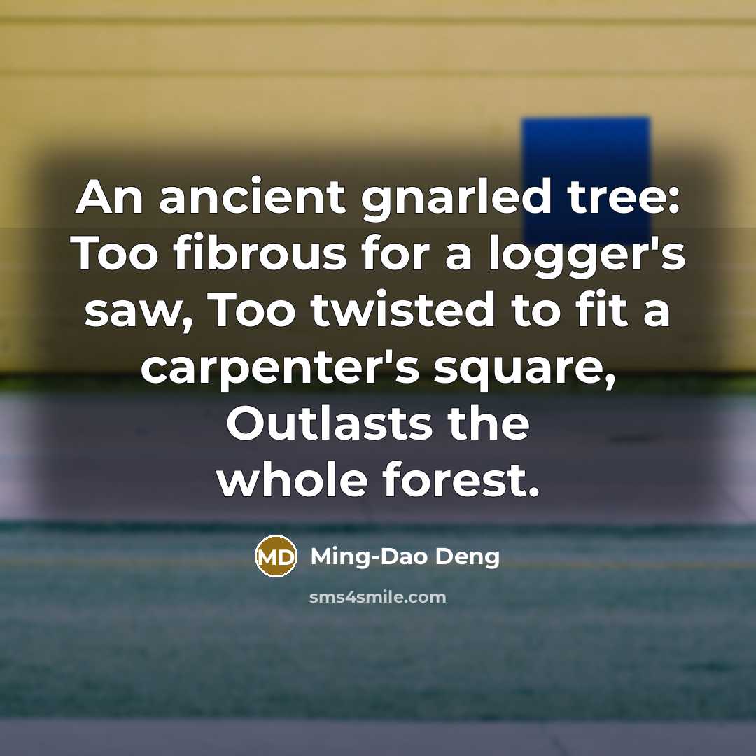 “An ancient gnarled tree: Too fibrous for a logger's saw,…” quote by Ming-Dao Deng