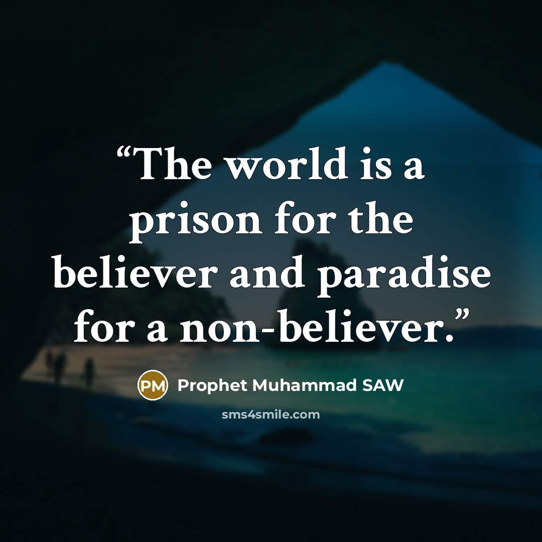 “The world is a prison for the believer and paradise for a non-believer.” quote by Prophet Muhammad SAW