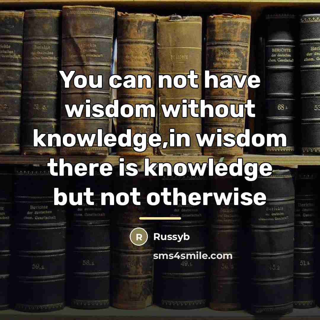 “You can not have wisdom without knowledge,in wisdom there is…” quote by Russyb