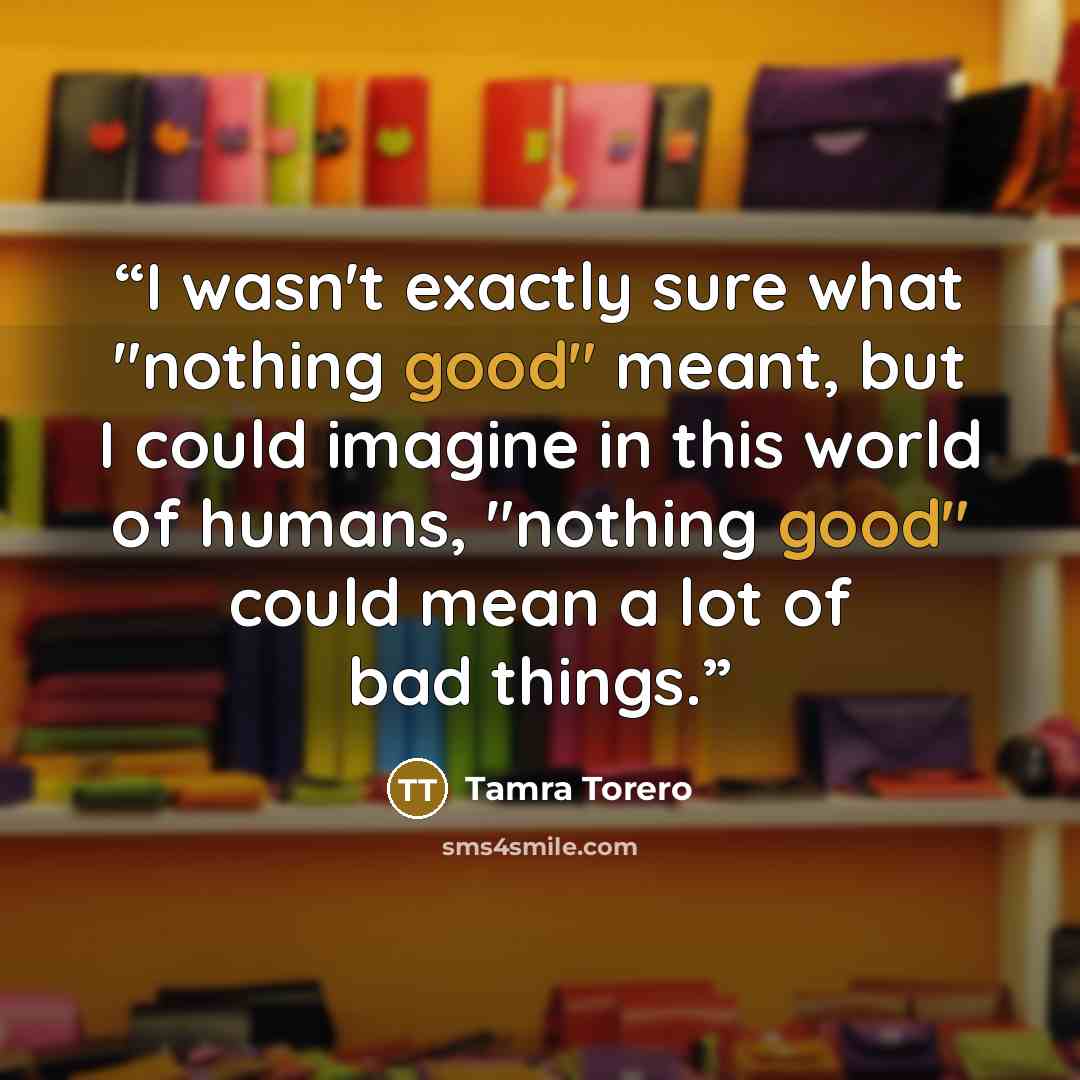“I wasn't exactly sure what "nothing good" meant, but I could imagine in this world of humans, "nothing good" could mean a lot of bad things.” quote by Tamra Torero