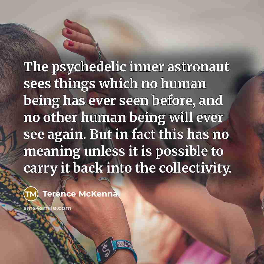 “The psychedelic inner astronaut sees things which no human being…” quote by Terence McKenna