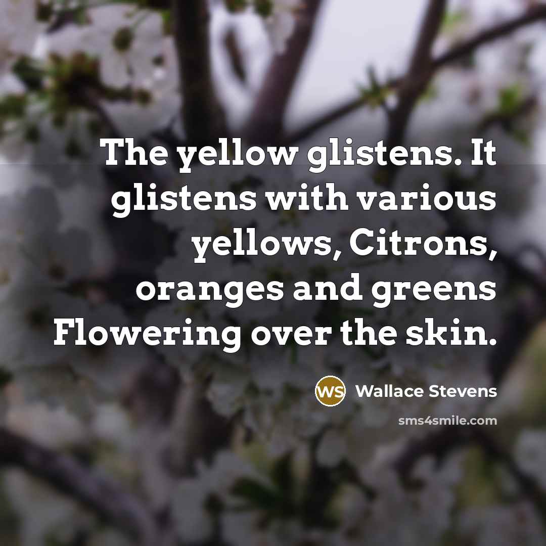 “The yellow glistens. It glistens with various yellows, Citrons, oranges…” quote by Wallace Stevens