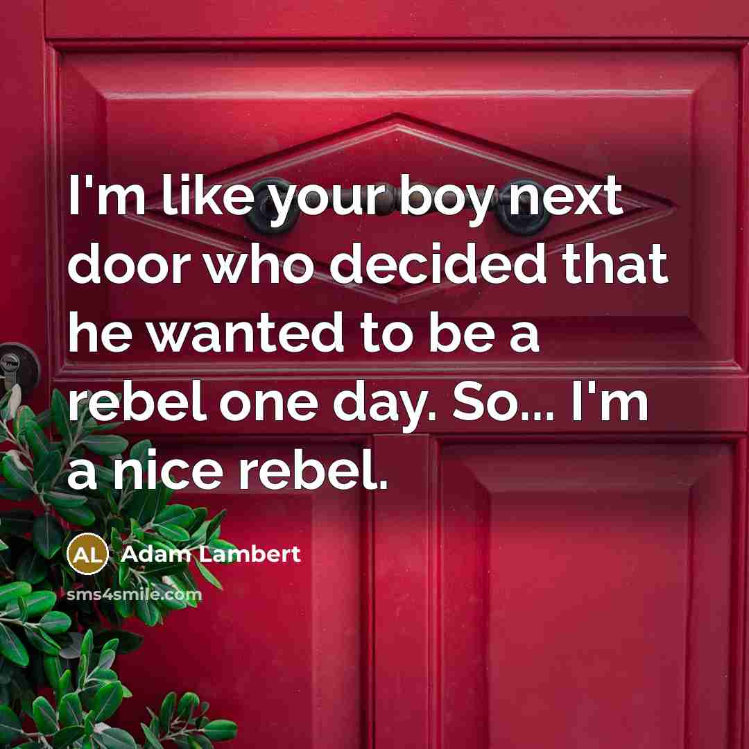 “I'm like your boy next door who decided that he…” quote by Adam Lambert