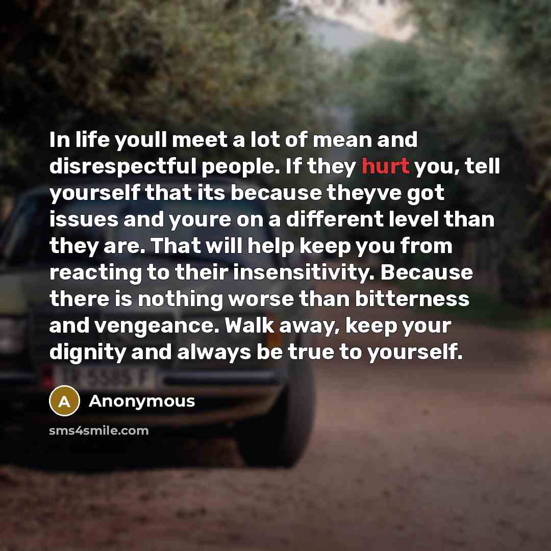 “In life youll meet a lot of mean and disrespectful…” quote by Anonymous