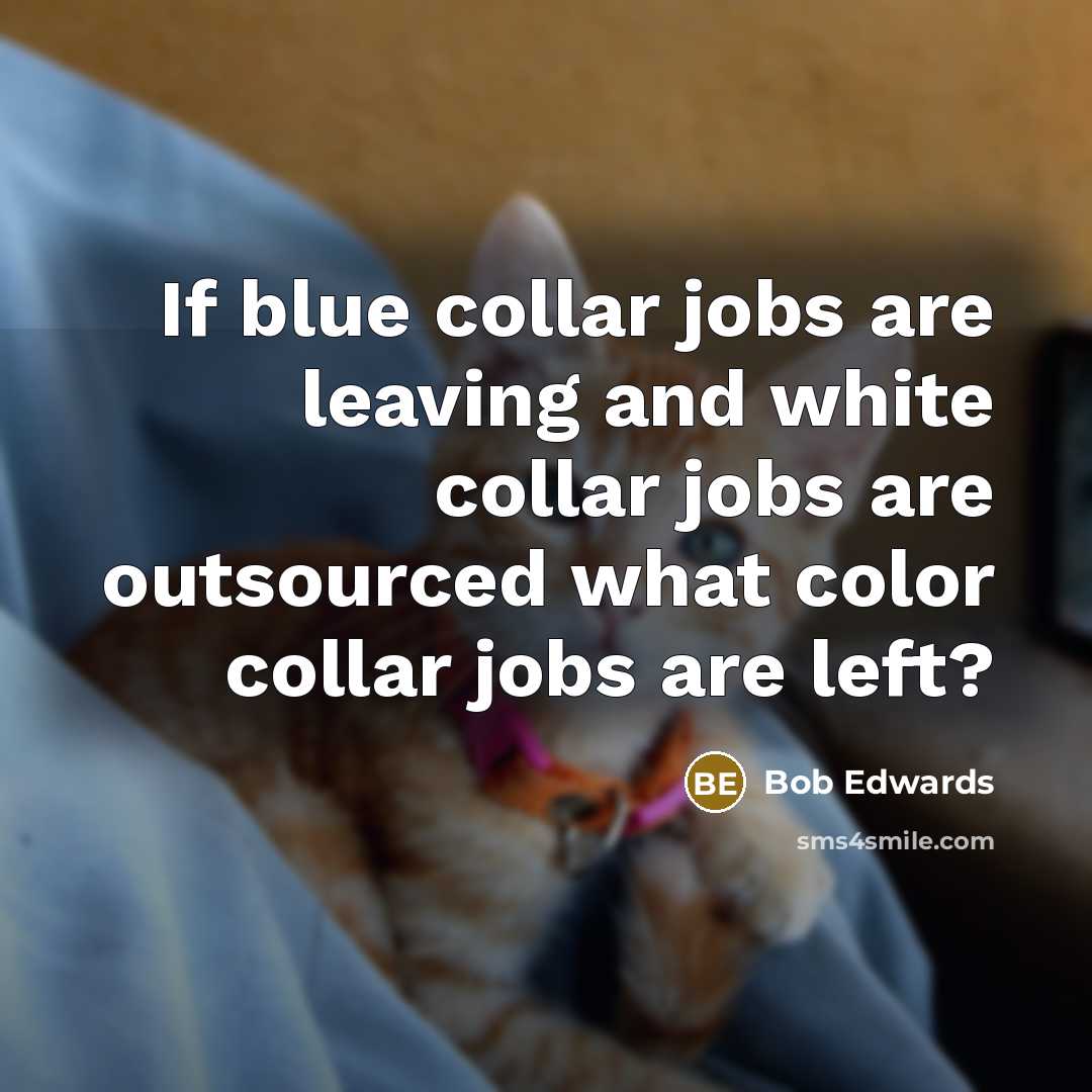 “If blue collar jobs are leaving and white collar jobs…” quote by Bob Edwards