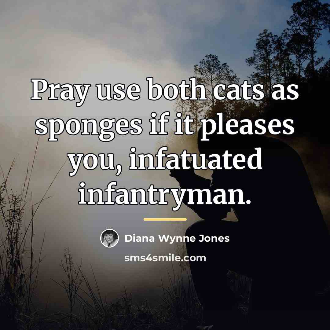 “Pray use both cats as sponges if it pleases you,…” quote by Diana Wynne Jones