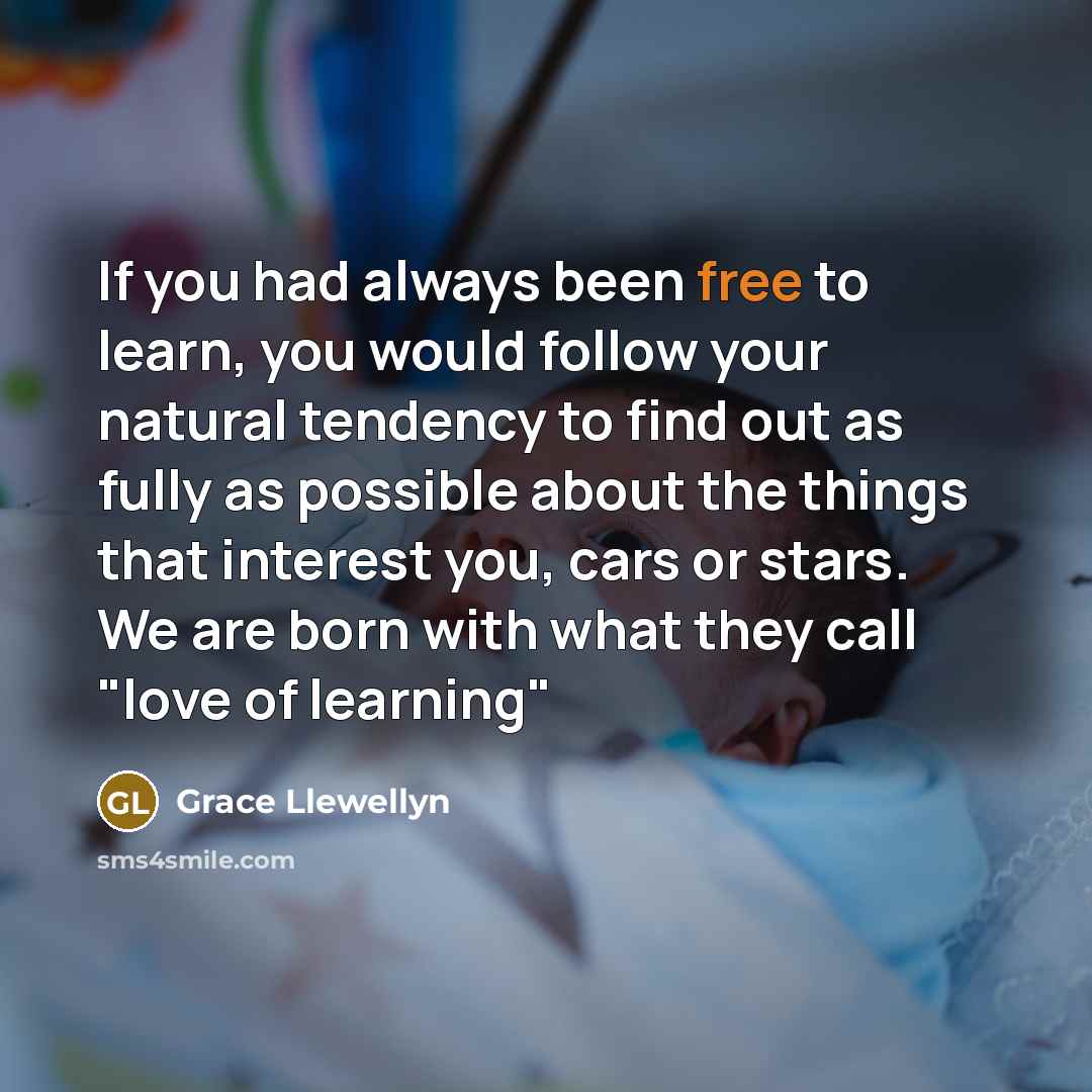 “If you had always been free to learn, you would…” quote by Grace Llewellyn